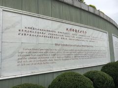 -抚顺煤矿博物馆