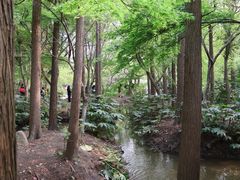 -兰拓相机租赁·维修·二手(上海店)