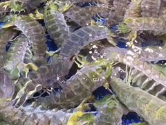 -黄沙水产交易市场