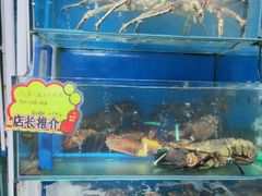 水产区-蚝专家(北滘店)