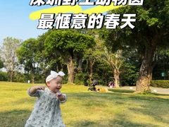 -深圳野生动物园