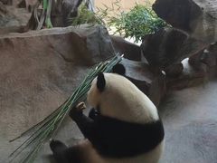 -宁波野生动物园