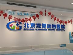 -北京观赏动物医院·24小时大型综合·猫专科·异宠专科