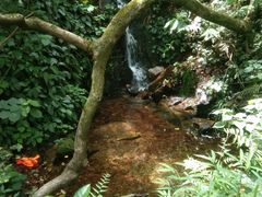 -羚羊峡古栈道森林公园