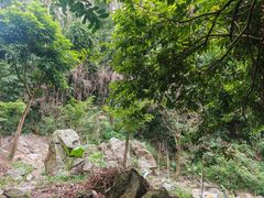 -火炉山森林公园