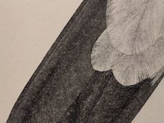 -江苏省美术馆(长江路新馆)