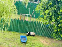 -沈阳森林动物园