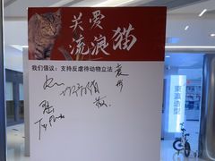 -三花喵·撸猫购宠·宠物生活馆(虹桥南丰城店)