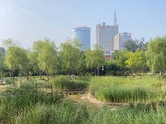 -莲花池公园