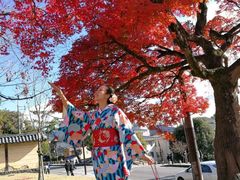 -枫雅和服体验(奈良店)