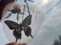 -善卷洞风景区