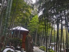 -江南天池高山汤泉城