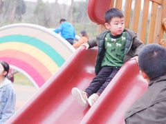 -枫香湖儿童公园