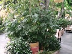 -滕头生态酒店(奉化店)
