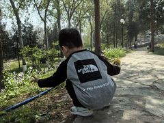 -黄村公园
