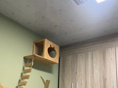 -半岛宠物医院24小时(白果林店)