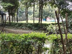 -二荆条·蜀鲜汇城市森林火锅