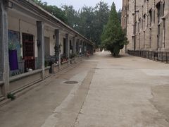 -洪家楼教堂
