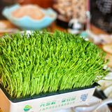 让你好吃停不下｜熊猫老灶火锅❗️