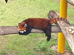 -西霞口神雕山野生动物世界