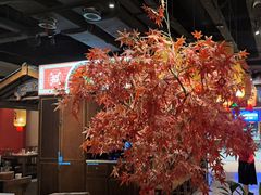 -杨记隆府重庆江湖菜(大悦城店)