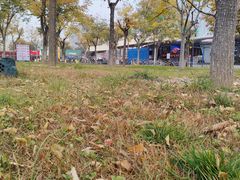 -华夏文旅西安度假区