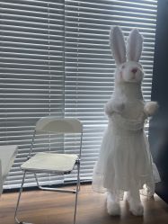 -WAVE SODA摄影工作室