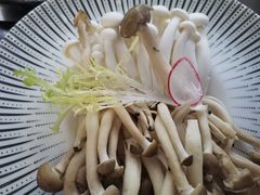 -马家斑.鲜鱼火锅(松湖万科店)
