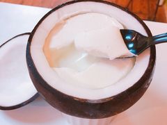 -志龙皇冠吃货椰子铺