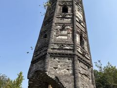 -上海佘山国家森林公园天马山园