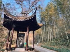 -云栖竹径