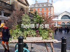 -科文特花园