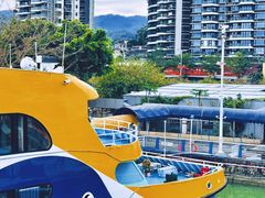 -澳门环岛游湾仔码头