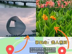 -金鸡湖景区
