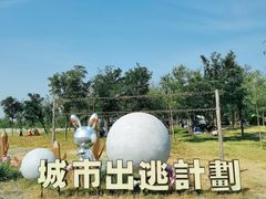 -天津东丽湖风景区