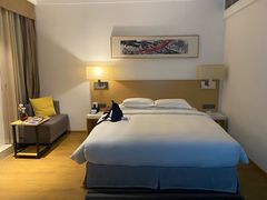 -重庆观音桥华美达安可酒店