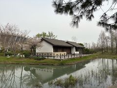 -尚贤河湿地
