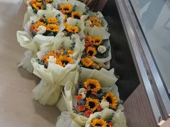 -雅马哈卡瓦依·钢琴电钢琴·姜杰城音乐舞蹈培训学校(航天桥总部)