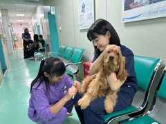 -北京观赏动物医院·24小时大型综合·猫专科·异宠专科