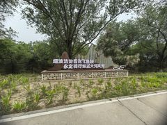-绿堤公园