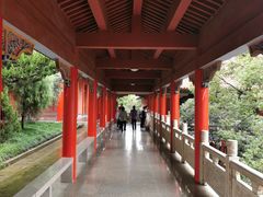 -开福禅寺