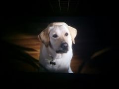 -星河国际影城(新会店)