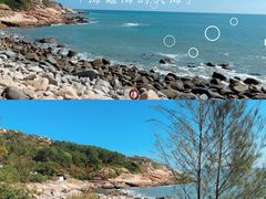 -广东惠东海龟国家级自然保护区