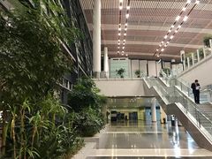 -常州奔牛国际机场