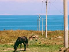 -青海湖国家重点风景名胜区