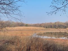 -盘龙城国家考古遗址公园