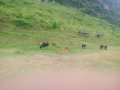 景点-山王坪喀斯特国家生态公园