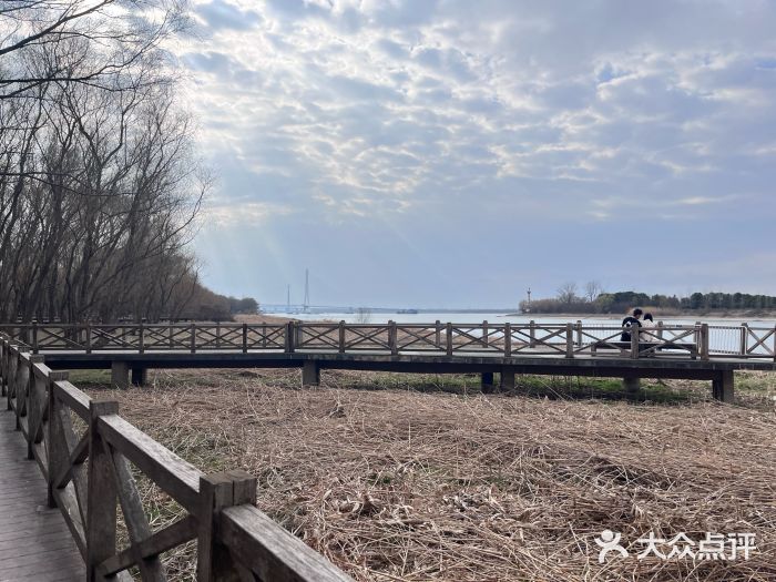 鱼嘴湿地公园图片