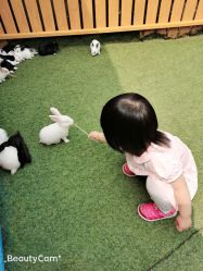 -萌宠亲子动物乐园(槐房万达店)