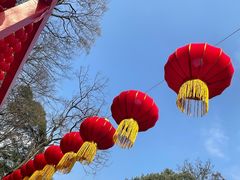 -黔灵山公园